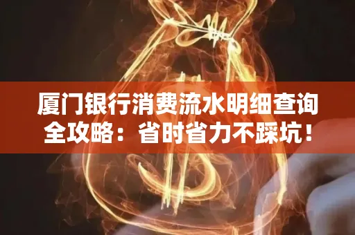 厦门银行消费流水明细查询全攻略：省时省力不踩坑！