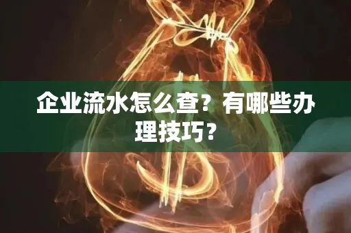企业流水怎么查？有哪些办理技巧？