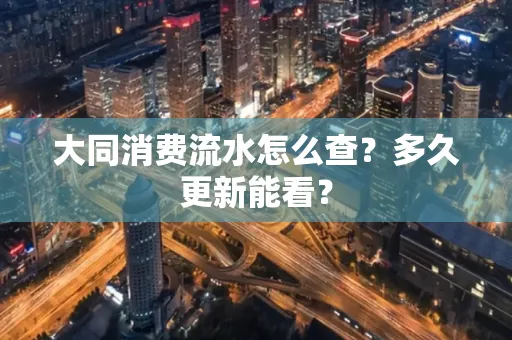 大同消费流水怎么查？多久更新能看？