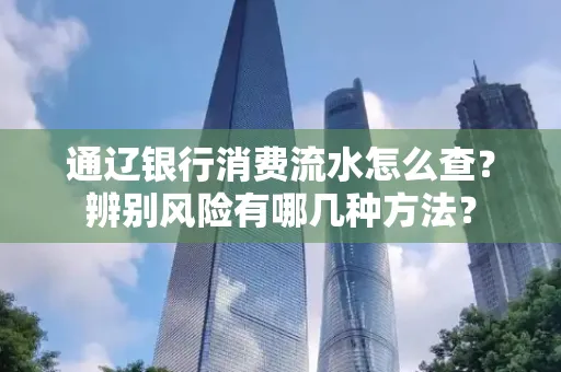 通辽银行消费流水怎么查？辨别风险有哪几种方法？