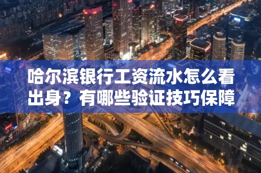 哈尔滨银行工资流水怎么看出身？有哪些验证技巧保障贷款过关？